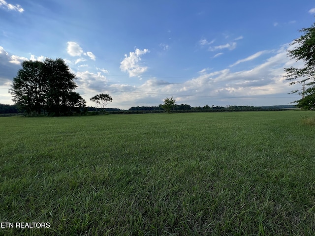 1759 Meister Hills Rd Unit 14.5, Acres, Deer Lodge, TN 37726 - photo 9