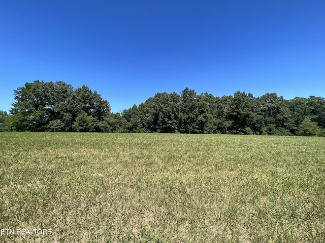 1759 Meister Hills Rd Unit 14.5, Acres, Deer Lodge, TN 37726 - photo 10