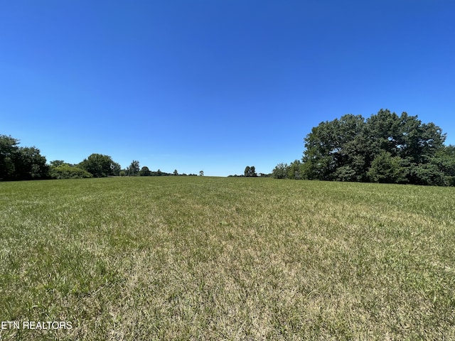 1759 Meister Hills Rd Unit 14.5, Acres, Deer Lodge, TN 37726 - photo 11