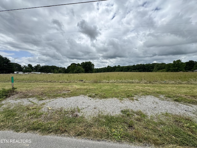 1759 Meister Hills Rd Unit 14.5, Acres, Deer Lodge, TN 37726 - photo 12
