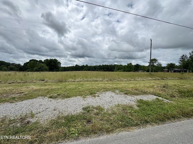1759 Meister Hills Rd Unit 14.5, Acres, Deer Lodge, TN 37726 - photo 13