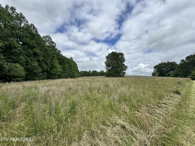 1759 Meister Hills Rd Unit 14.5, Acres, Deer Lodge, TN 37726 - photo 17
