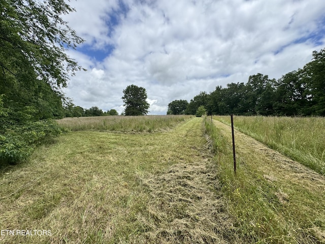 1759 Meister Hills Rd Unit 14.5, Acres, Deer Lodge, TN 37726 - photo 18