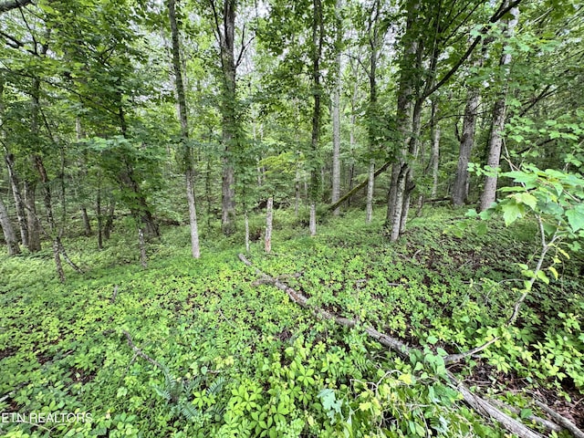 1759 Meister Hills Rd Unit 14.5, Acres, Deer Lodge, TN 37726 - photo 20