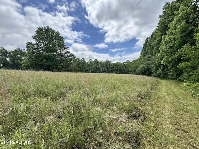 1759 Meister Hills Rd Unit 14.5, Acres, Deer Lodge, TN 37726 - photo 21
