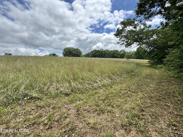 1759 Meister Hills Rd Unit 14.5, Acres, Deer Lodge, TN 37726 - photo 22