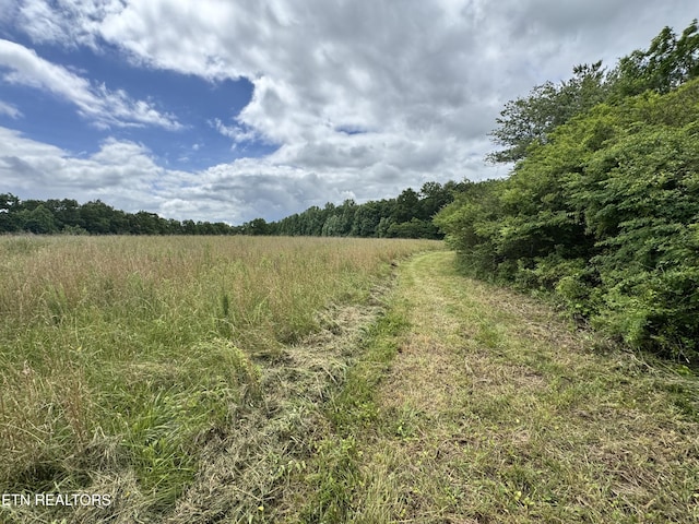1759 Meister Hills Rd Unit 14.5, Acres, Deer Lodge, TN 37726 - photo 23
