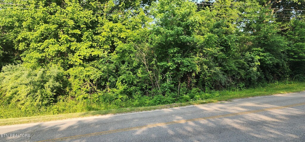 Glass House Rd, Helenwood, TN 37755 - photo 3