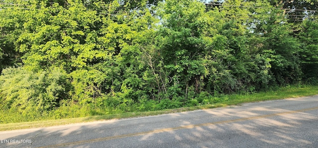 Glass House Rd, Helenwood, TN 37755 - photo 3