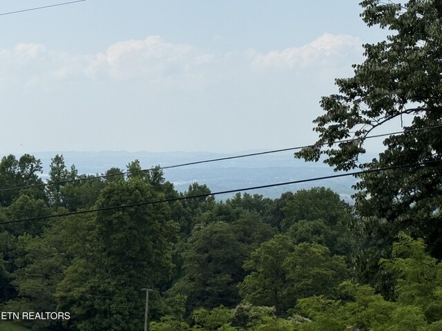 771 Alpine Dr, Sevierville, TN 37876