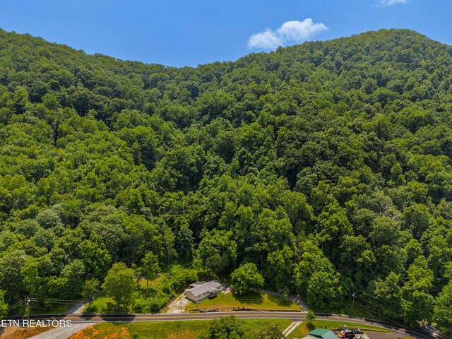 771 Alpine Dr, Sevierville, TN 37876