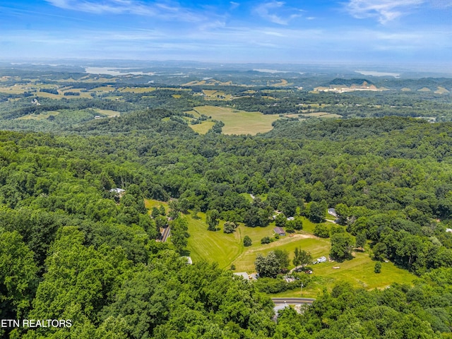 771 Alpine Dr, Sevierville, TN 37876