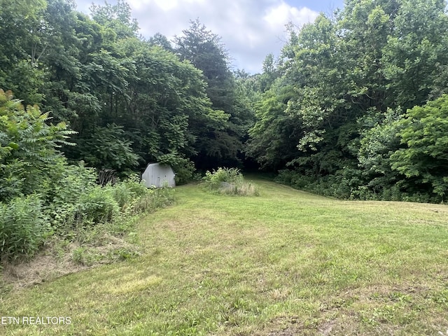 1311 Old Union Rd, Hilham, TN 38568 - view of green lawn featuring a view of trees