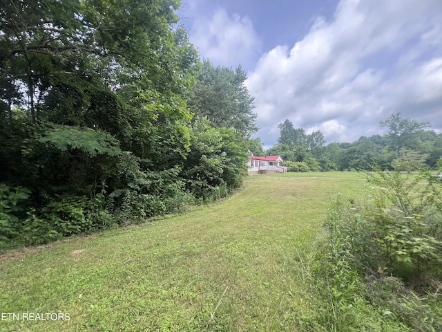 1311 Old Union Rd, Hilham, TN 38568 - view of grassy yard featuring a view of trees
