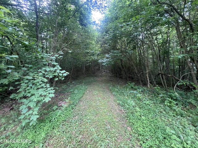1311 Old Union Rd, Hilham, TN 38568 - view of wooded area