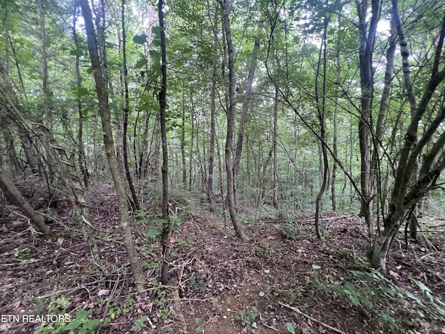 1311 Old Union Rd, Hilham, TN 38568 - view of tree filled area