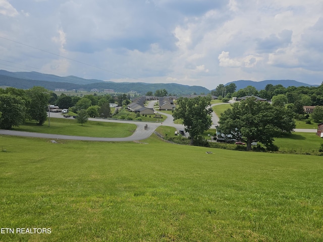 LOT29 Zachary Ct, Harrogate, TN 37752
