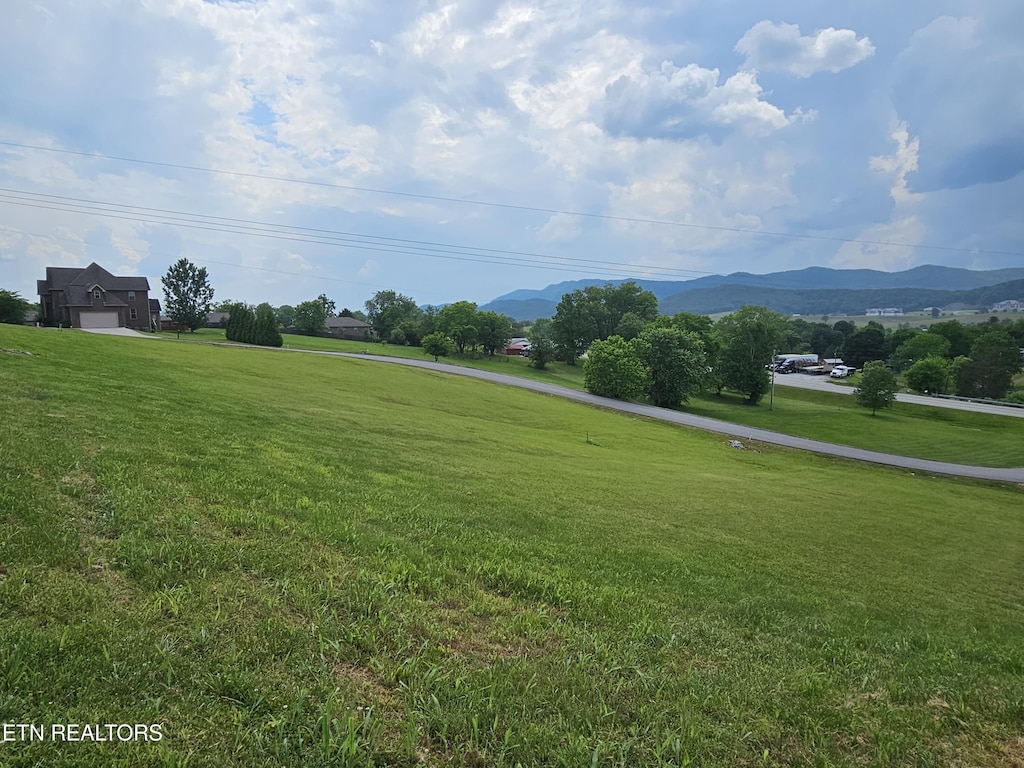 LOT29 Zachary Ct, Harrogate, TN 37752