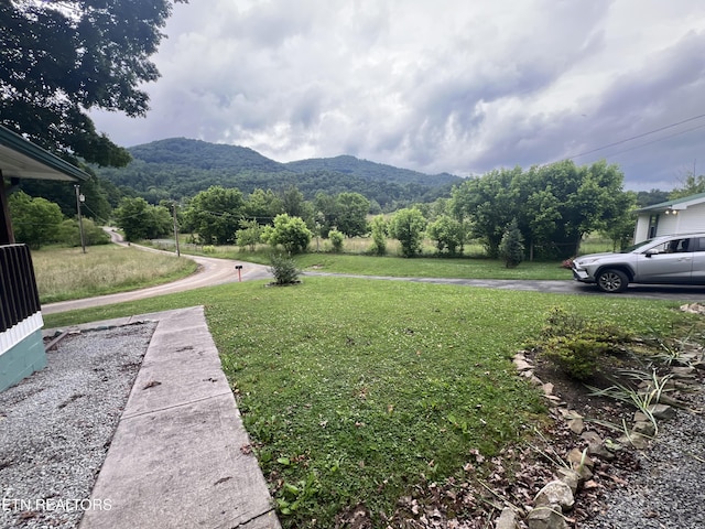 151 Davis Rd, Sneedville, TN 37869 - view of mountain background