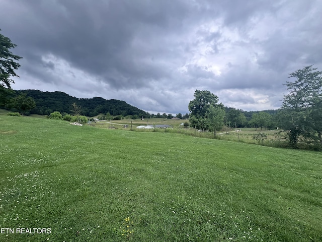 151 Davis Rd, Sneedville, TN 37869 - view of grassy yard with a view of countryside