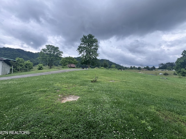 151 Davis Rd, Sneedville, TN 37869 - view of green lawn with a view of countryside