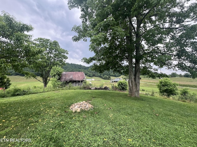 151 Davis Rd, Sneedville, TN 37869 - view of green lawn