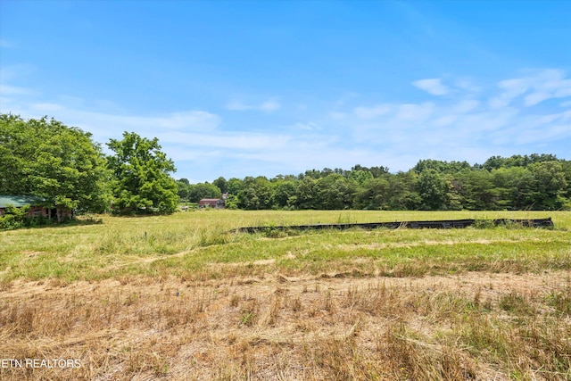 2878 Norcross Rd, Maryville, TN 37803 - photo 3