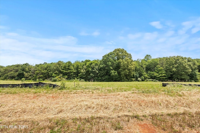 2878 Norcross Rd, Maryville, TN 37803 - photo 4