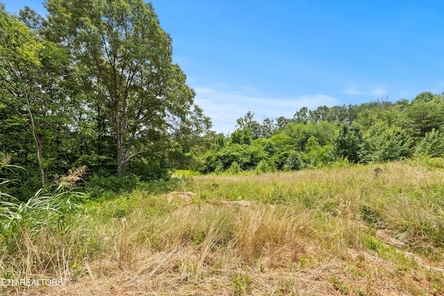 2878 Norcross Rd, Maryville, TN 37803 - photo 6