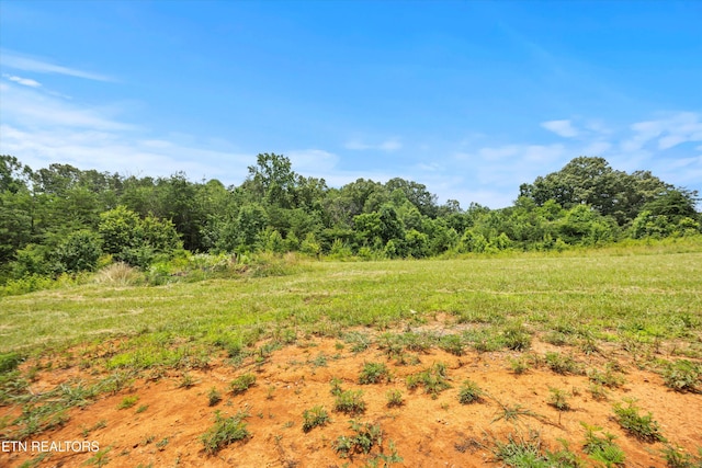 2878 Norcross Rd, Maryville, TN 37803 - photo 7