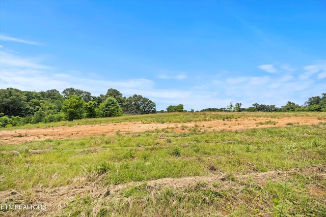 2878 Norcross Rd, Maryville, TN 37803 - photo 8