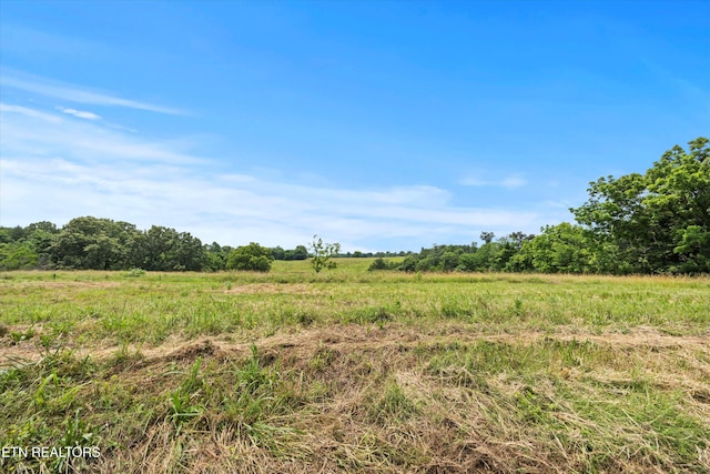 2878 Norcross Rd, Maryville, TN 37803 - photo 9