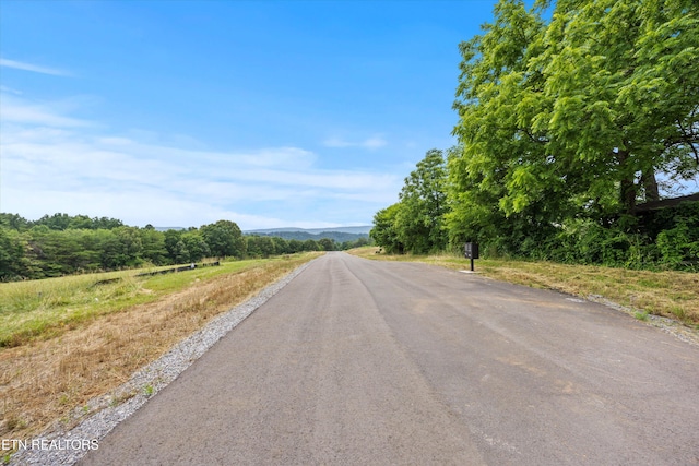 2878 Norcross Rd, Maryville, TN 37803 - photo 10
