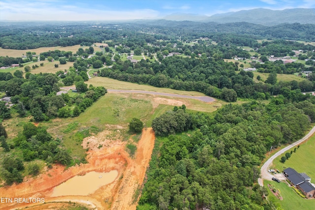 2878 Norcross Rd, Maryville, TN 37803 - photo 12