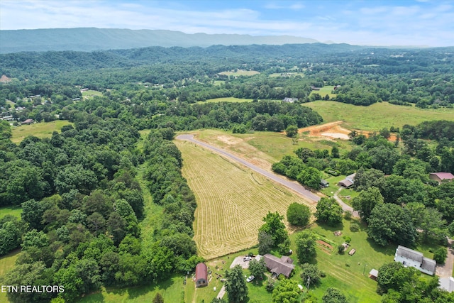 2878 Norcross Rd, Maryville, TN 37803 - photo 14