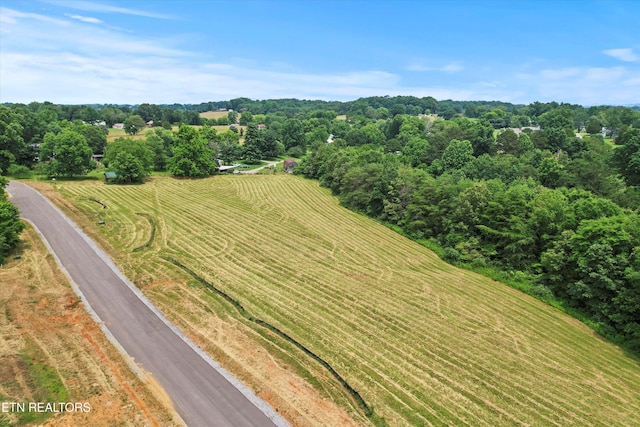 2878 Norcross Rd, Maryville, TN 37803 - photo 17