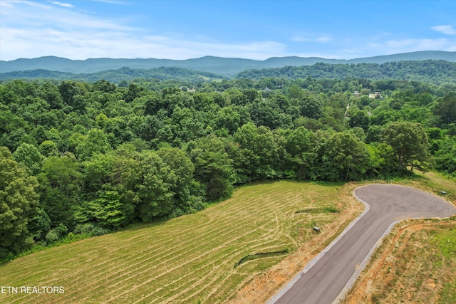 2878 Norcross Rd, Maryville, TN 37803 - photo 18