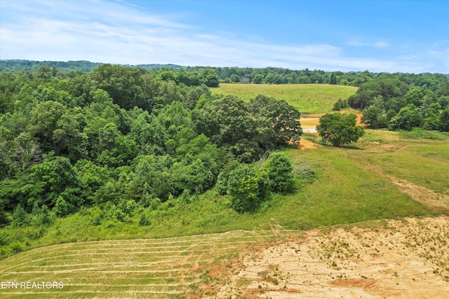 2878 Norcross Rd, Maryville, TN 37803 - photo 20