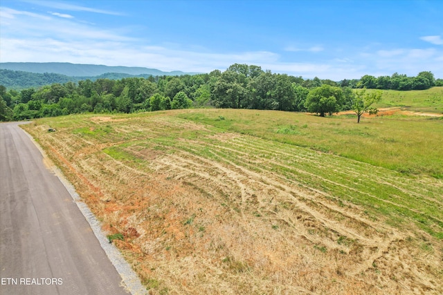 2878 Norcross Rd, Maryville, TN 37803 - photo 26