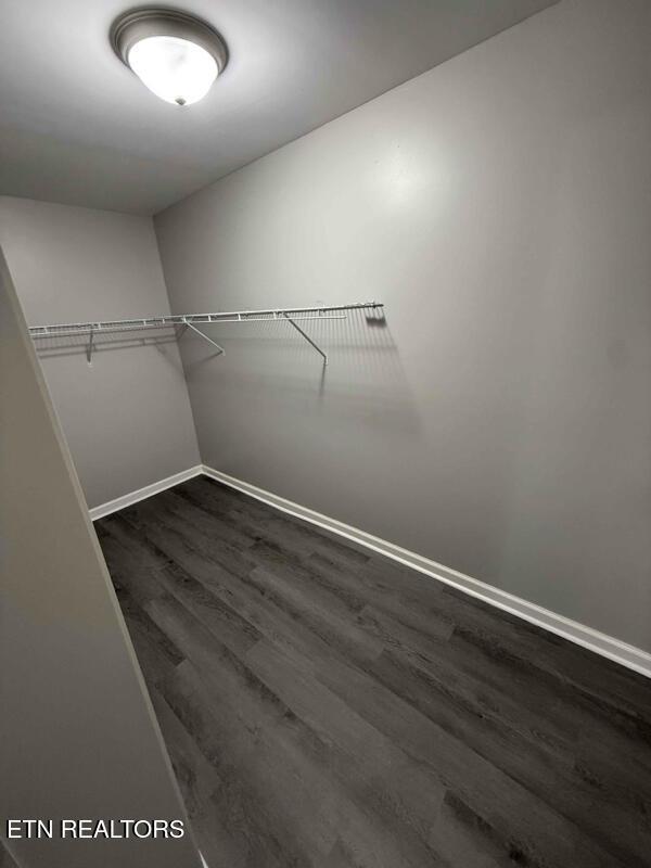 712 Lamont St Unit 1-13, Johnson City, TN 37604 - photo 16