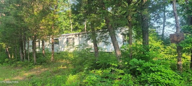 Shadden Rd, Tellico Plains, TN 37385