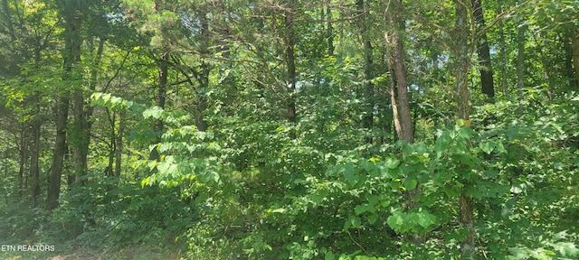 Shadden Rd, Tellico Plains, TN 37385