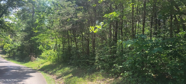 Shadden Rd, Tellico Plains, TN 37385