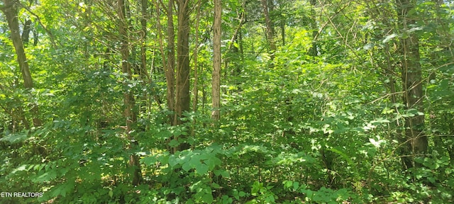 Shadden Rd, Tellico Plains, TN 37385
