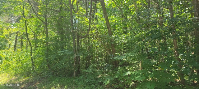 Shadden Rd, Tellico Plains, TN 37385