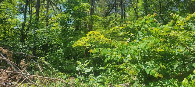 Shadden Rd, Tellico Plains, TN 37385