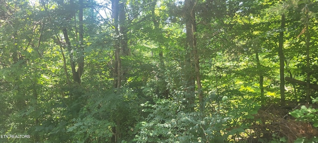 Shadden Rd, Tellico Plains, TN 37385