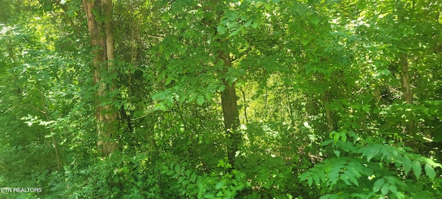 Shadden Rd, Tellico Plains, TN 37385