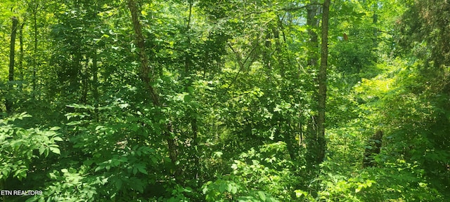 Shadden Rd, Tellico Plains, TN 37385