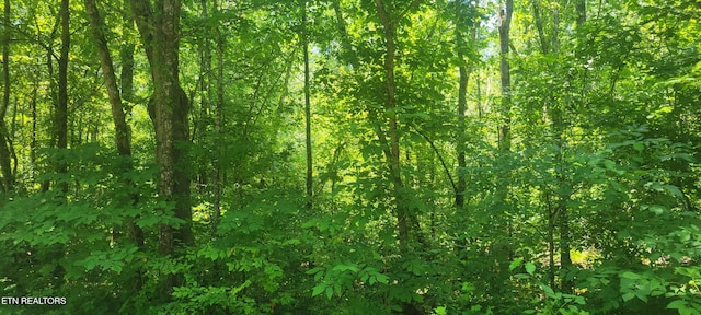 Shadden Rd, Tellico Plains, TN 37385